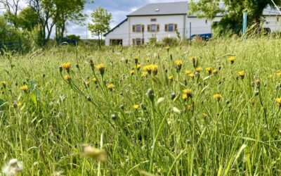 "Méi net am Mee": Maacht mat bei der Initiativ vum Naturpark Our a gewannt flott Präisser!
