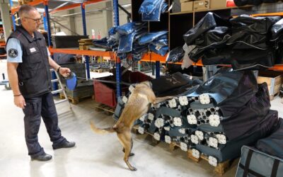 International Übung fir Brandmëttelhënn vun der Police am Gemengenatelier zu Housen duerchgefouert